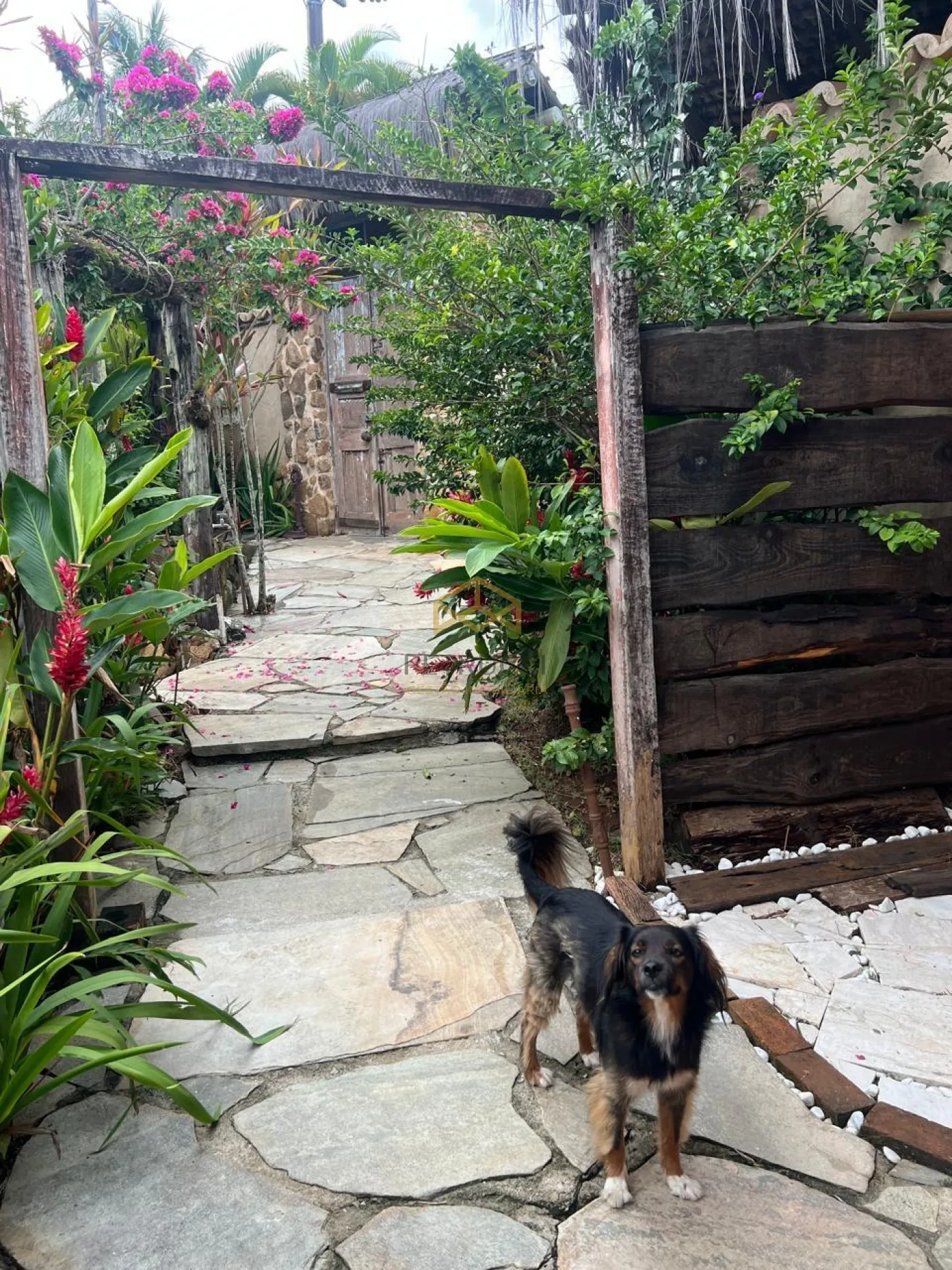 Comprar Casa / Sobrado em Ilhabela R$ 5.320.000,00 - Foto 57
