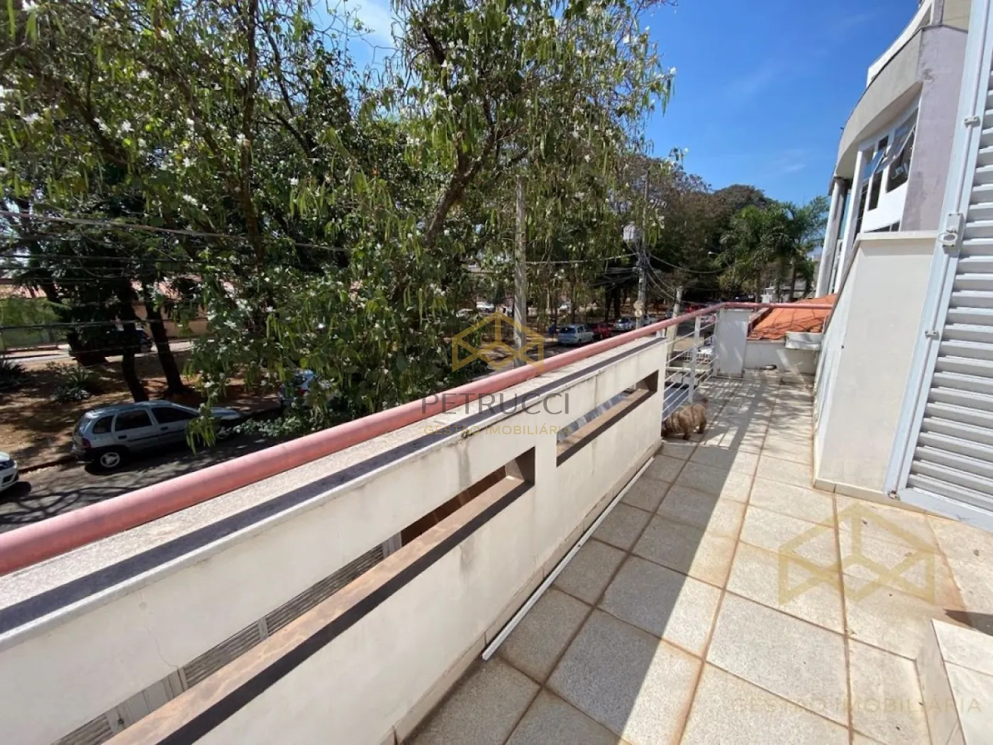 Comprar Casa / Sobrado em Santa Bárbara D`Oeste R$ 2.000.000,00 - Foto 11