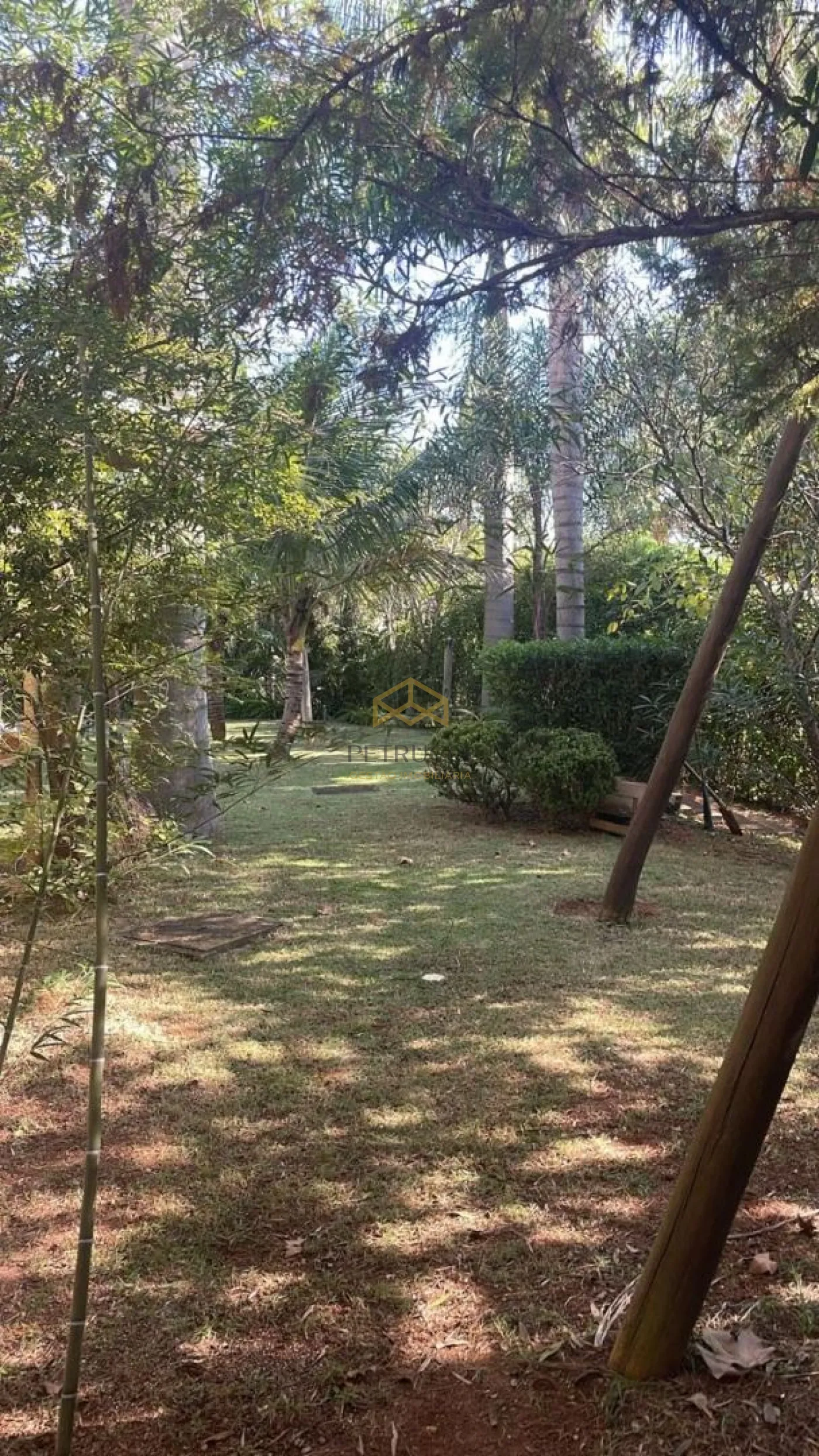 Alugar Rural / Chácara em Valinhos R$ 10.000,00 - Foto 18