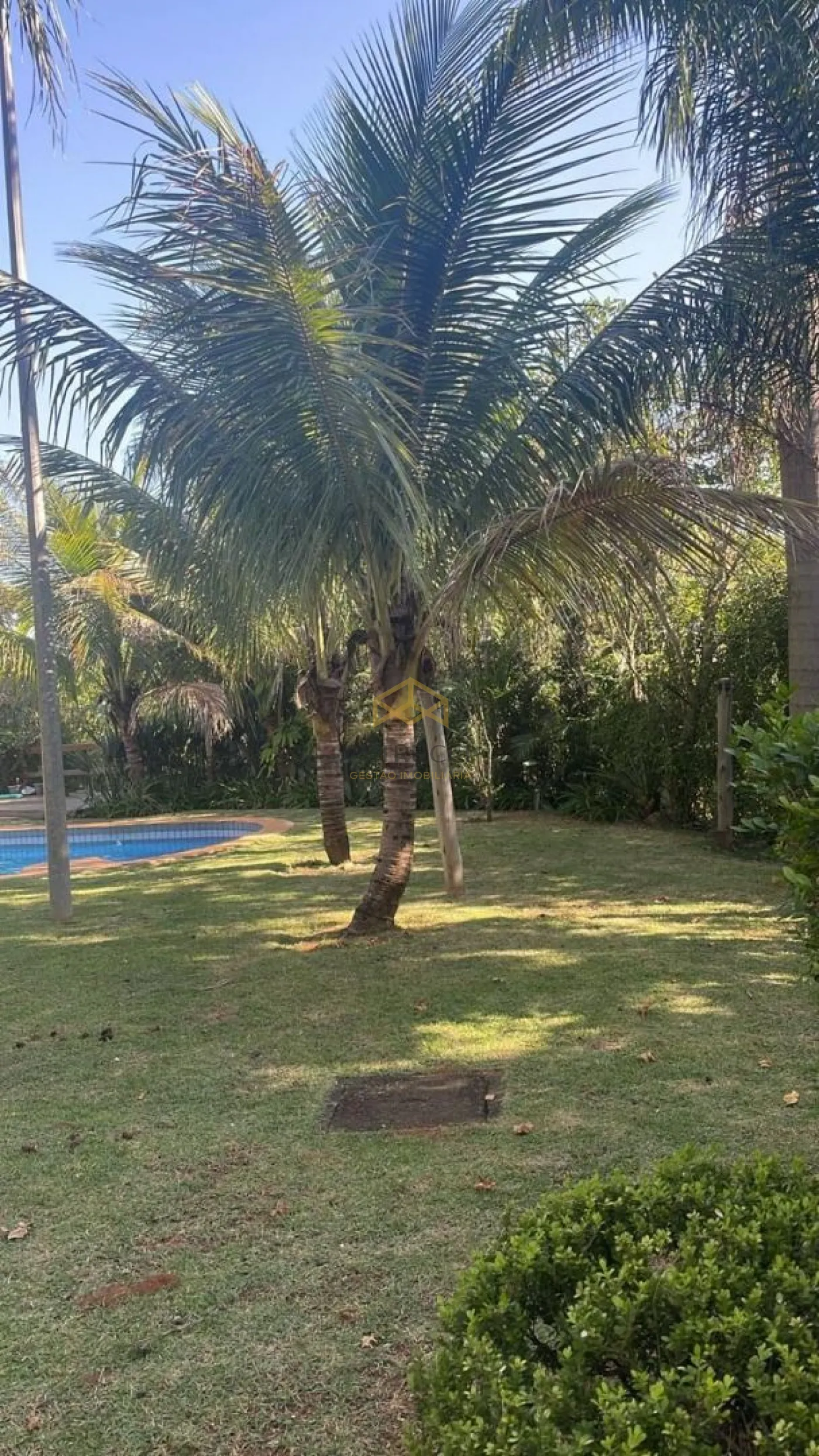 Alugar Rural / Chácara em Valinhos R$ 10.000,00 - Foto 20