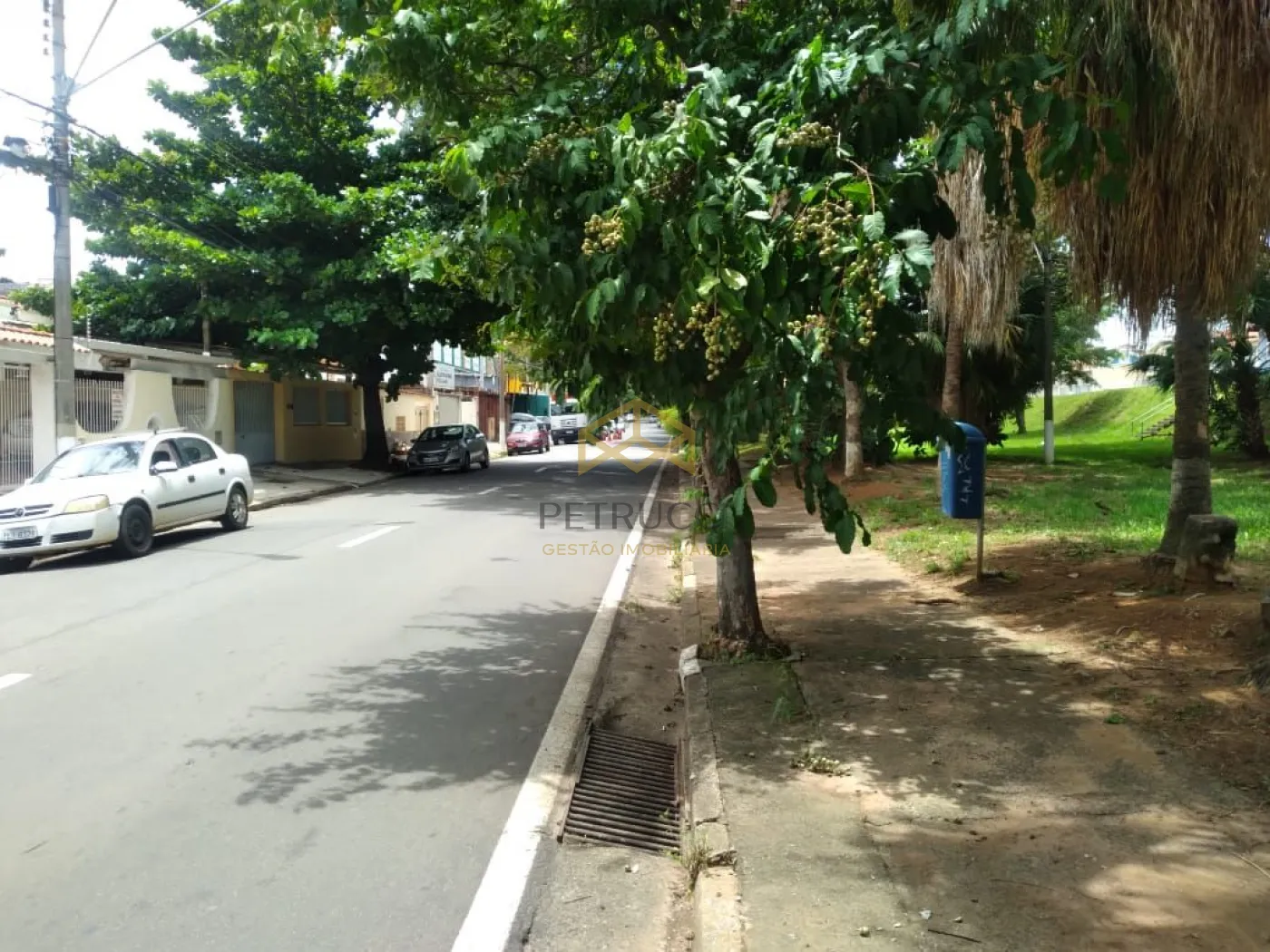 Alugar Comercial / Barracão em Campinas R$ 8.000,00 - Foto 10