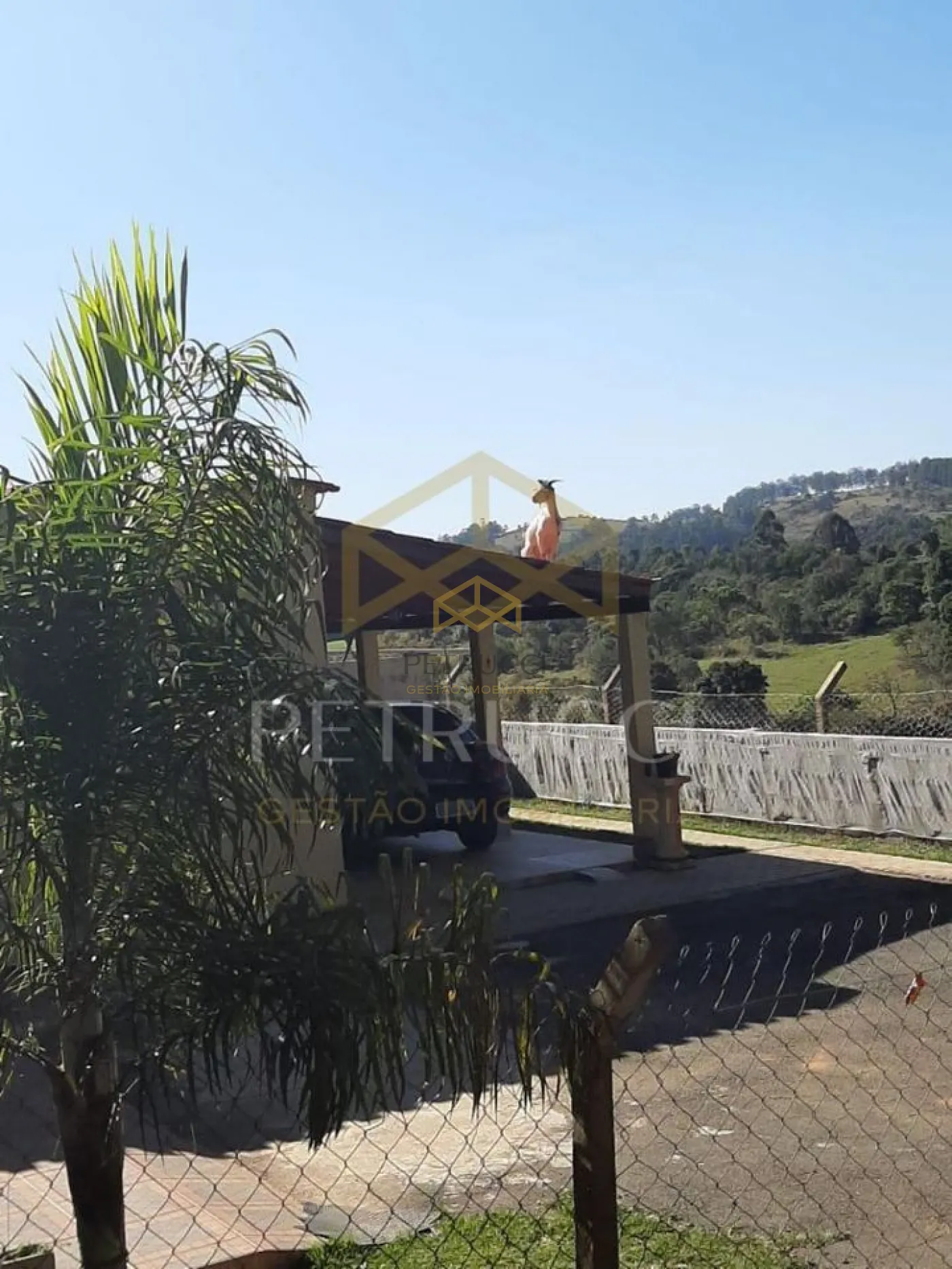 Comprar Rural / Chácara em Campinas R$ 950.000,00 - Foto 2
