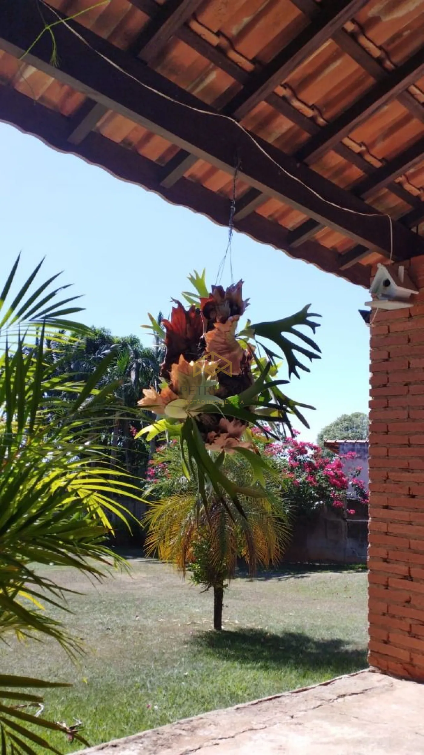 Comprar Rural / Chácara em Paulínia R$ 1.170.000,00 - Foto 32