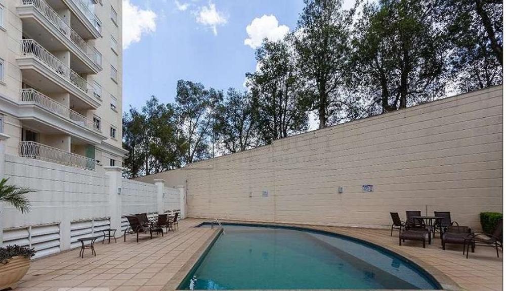 Alugar Apartamento / Padrão em Campinas R$ 3.500,00 - Foto 16 Alugar Apartamento / Padrão em Campinas R$ 3.500,00 - Foto 16