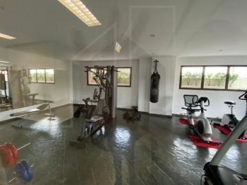 Alugar Apartamento / Padrão em Campinas R$ 2.500,00 - Foto 11 Alugar Apartamento / Padrão em Campinas R$ 2.500,00 - Foto 11