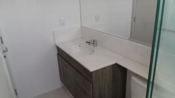 Alugar Apartamento / Padrão em Campinas R$ 4.500,00 - Foto 8 Alugar Apartamento / Padrão em Campinas R$ 4.500,00 - Foto 8