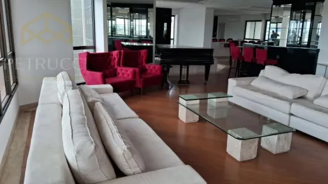 imagem 4 - ACONCHEGANTE E LINDO APARTAMENTO NO CAMBUÍ EM CAMPINAS-SP. (ANDAR ALTO). imagem 4 - ACONCHEGANTE E LINDO APARTAMENTO NO CAMBUÍ EM CAMPINAS-SP. (ANDAR ALTO).