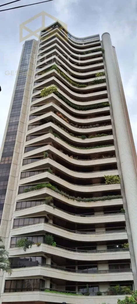 imagem 1 - ACONCHEGANTE E LINDO APARTAMENTO NO CAMBUÍ EM CAMPINAS-SP. (ANDAR ALTO). imagem 1 - ACONCHEGANTE E LINDO APARTAMENTO NO CAMBUÍ EM CAMPINAS-SP. (ANDAR ALTO).