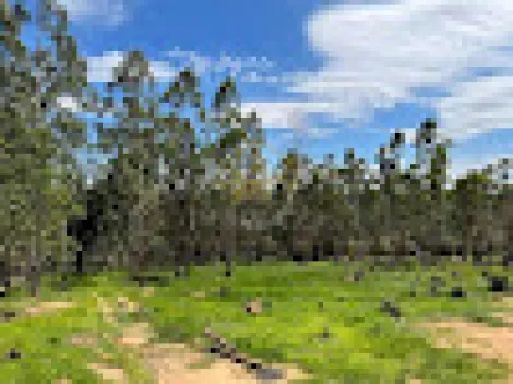 imagem 4 - MARAVILHOSO TERRENO EM LOTEAMENTO FECHADO imagem 4 - MARAVILHOSO TERRENO EM LOTEAMENTO FECHADO