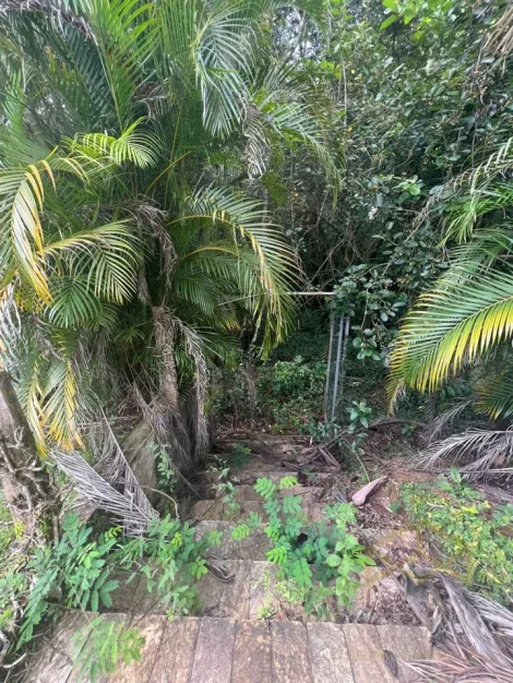 imagem 2 - TERRENO À VENDA NO ALPHAVILLE CAMPINAS! imagem 2 - TERRENO À VENDA NO ALPHAVILLE CAMPINAS!