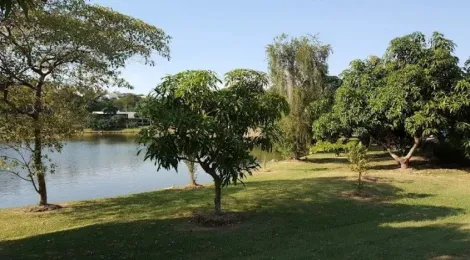 imagem 4 - TERRENO À VENDA NO ALPHAVILLE CAMPINAS! imagem 4 - TERRENO À VENDA NO ALPHAVILLE CAMPINAS!