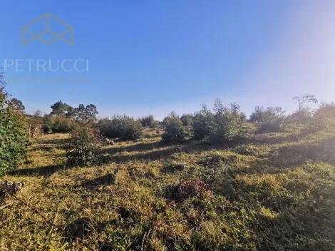 imagem 2 - TERRENO EM JOAQUIM EGÍDIO COM 84.000 M² REGIÃO ESTRADA DAS CABRAS, imagem 2 - TERRENO EM JOAQUIM EGÍDIO COM 84.000 M² REGIÃO ESTRADA DAS CABRAS,