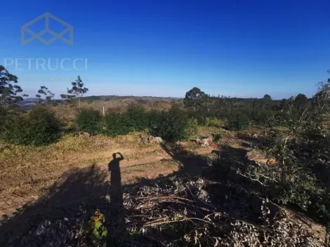 imagem 3 - TERRENO EM JOAQUIM EGÍDIO COM 84.000 M² REGIÃO ESTRADA DAS CABRAS, imagem 3 - TERRENO EM JOAQUIM EGÍDIO COM 84.000 M² REGIÃO ESTRADA DAS CABRAS,