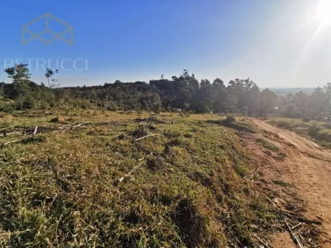 imagem 4 - TERRENO EM JOAQUIM EGÍDIO COM 84.000 M² REGIÃO ESTRADA DAS CABRAS, imagem 4 - TERRENO EM JOAQUIM EGÍDIO COM 84.000 M² REGIÃO ESTRADA DAS CABRAS,