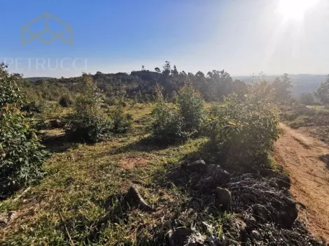 imagem 5 - TERRENO EM JOAQUIM EGÍDIO COM 84.000 M² REGIÃO ESTRADA DAS CABRAS, imagem 5 - TERRENO EM JOAQUIM EGÍDIO COM 84.000 M² REGIÃO ESTRADA DAS CABRAS,