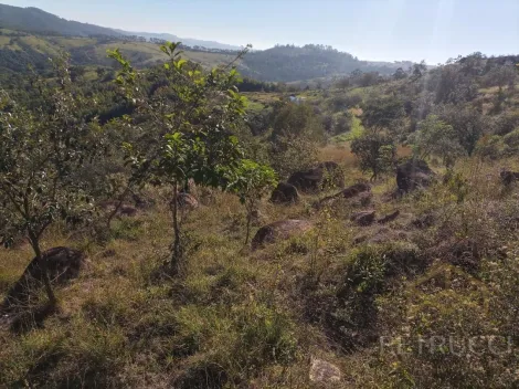 imagem 4 - ÓTIMO TERRENO DE 30.000 M2 EM JOAQUIM EGÍDIO imagem 4 - ÓTIMO TERRENO DE 30.000 M2 EM JOAQUIM EGÍDIO
