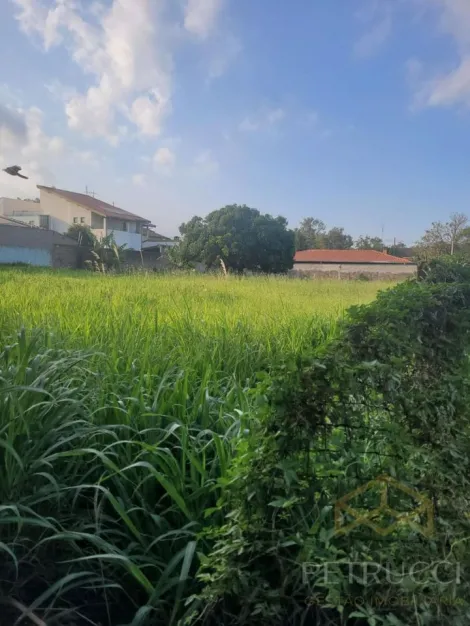 imagem 1 - TERRENO À VENDA - CHÁCARA DA BARRA imagem 1 - TERRENO À VENDA - CHÁCARA DA BARRA