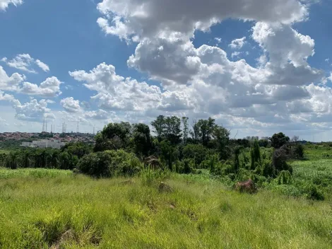 imagem 3 - TERRENO À VENDA NA CHÁCARA SÃO RAFAEL - CAMPINAS/SP imagem 3 - TERRENO À VENDA NA CHÁCARA SÃO RAFAEL - CAMPINAS/SP