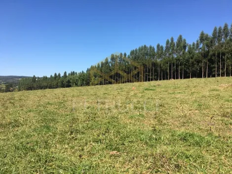 imagem 1 - LINDO TERRENO À VENDA EM JOAQUIM EGÍDIO imagem 1 - LINDO TERRENO À VENDA EM JOAQUIM EGÍDIO