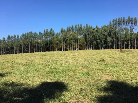 imagem 2 - LINDO TERRENO À VENDA EM JOAQUIM EGÍDIO imagem 2 - LINDO TERRENO À VENDA EM JOAQUIM EGÍDIO