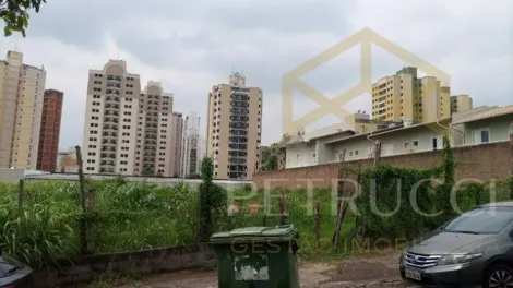 imagem 1 - TERRENO PLANO À VENDA - CHÁCARA PRIMAVERA EM  CAMPINAS/SP imagem 1 - TERRENO PLANO À VENDA - CHÁCARA PRIMAVERA EM  CAMPINAS/SP