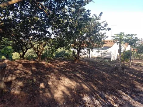imagem 5 - OPORTUNIDADE IMPERDÍVEL EM VALINHOS! imagem 5 - OPORTUNIDADE IMPERDÍVEL EM VALINHOS!