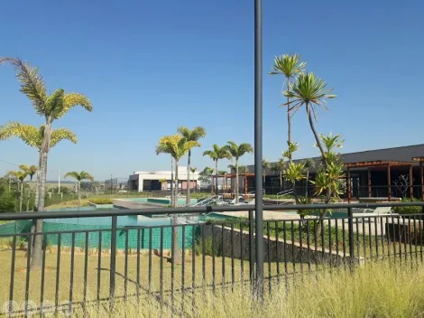 imagem 4 - TERRENO MARAVILHOSO DE 420M² A VENDA NO JARDIM ARBORAIS - CAMPINAS/SP. imagem 4 - TERRENO MARAVILHOSO DE 420M² A VENDA NO JARDIM ARBORAIS - CAMPINAS/SP.