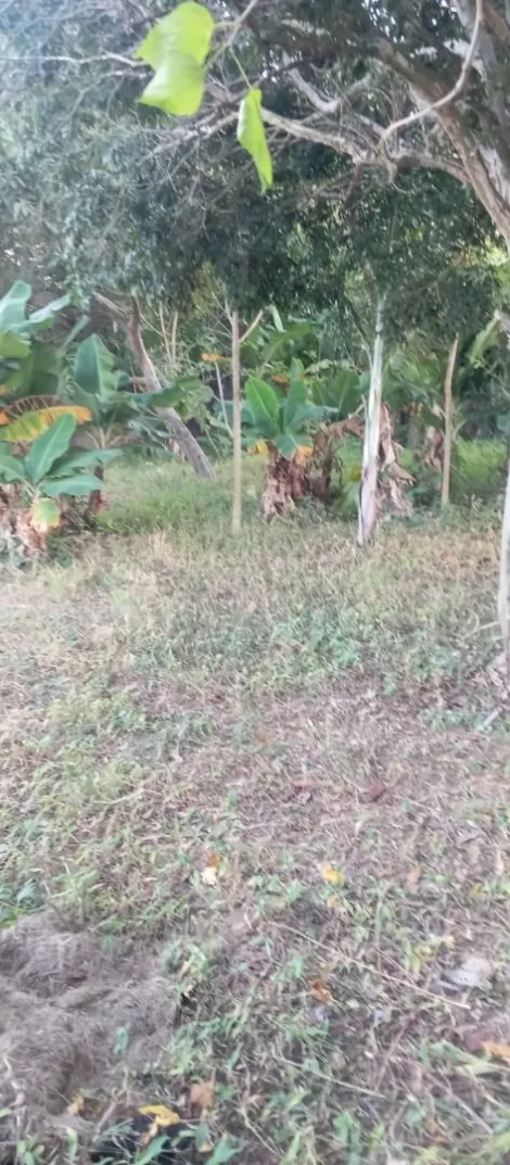 imagem 5 - TERRENOS A VENDA EM VINHEDO/SP. imagem 5 - TERRENOS A VENDA EM VINHEDO/SP.