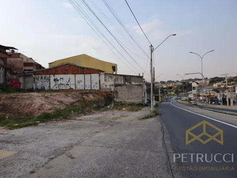 imagem 3 - TERRENO À VENDA NO JARDIM CAMPOS ELÍSEOS- CAMPINAS/SP imagem 3 - TERRENO À VENDA NO JARDIM CAMPOS ELÍSEOS- CAMPINAS/SP