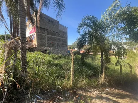 imagem 1 - TERRENO À VENDA, 737 M² NO JARDIM INDIANÓPOLIS - CAMPINAS/SP imagem 1 - TERRENO À VENDA, 737 M² NO JARDIM INDIANÓPOLIS - CAMPINAS/SP