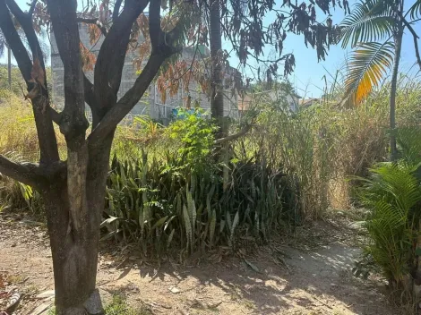 imagem 4 - TERRENO À VENDA, 737 M² NO JARDIM INDIANÓPOLIS - CAMPINAS/SP imagem 4 - TERRENO À VENDA, 737 M² NO JARDIM INDIANÓPOLIS - CAMPINAS/SP