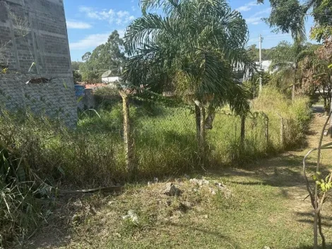 imagem 5 - TERRENO À VENDA, 737 M² NO JARDIM INDIANÓPOLIS - CAMPINAS/SP imagem 5 - TERRENO À VENDA, 737 M² NO JARDIM INDIANÓPOLIS - CAMPINAS/SP