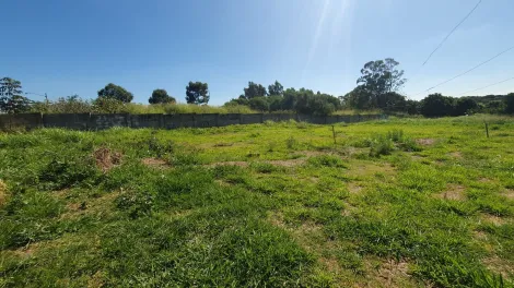imagem 4 - LOTE/TERRENO PARA LOCAÇÃO E VENDA NO CHÁCARAS SÃO MARTINHO EM CAMPINAS-SP. imagem 4 - LOTE/TERRENO PARA LOCAÇÃO E VENDA NO CHÁCARAS SÃO MARTINHO EM CAMPINAS-SP.