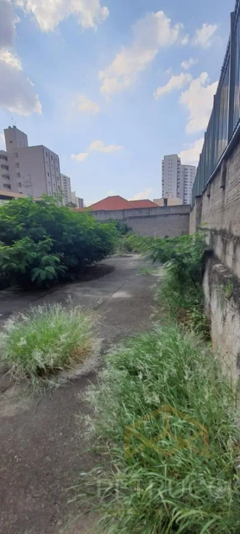 imagem 2 - TERRENO À VENDA EM CAMPINAS/ SP imagem 2 - TERRENO À VENDA EM CAMPINAS/ SP