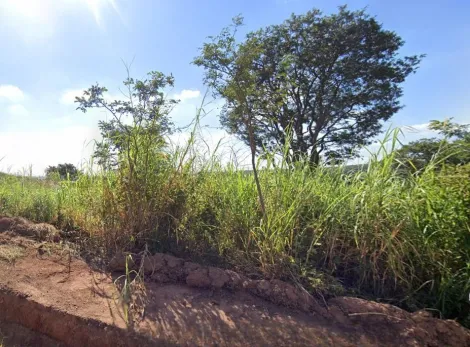 imagem 2 - TERRENO À VENDA NA REGIÃO DE SOUSAS CAMPINAS/SP imagem 2 - TERRENO À VENDA NA REGIÃO DE SOUSAS CAMPINAS/SP