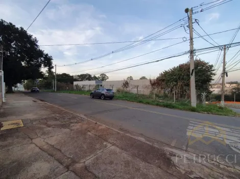 imagem 1 - TERRENO À VENDA, ÓTIMA OPORTUNIDADE PARA INVESTIDORES, NA REGIÃO MANSÕES SANTO ANTÔNIO - CAMPINAS/SP imagem 1 - TERRENO À VENDA, ÓTIMA OPORTUNIDADE PARA INVESTIDORES, NA REGIÃO MANSÕES SANTO ANTÔNIO - CAMPINAS/SP