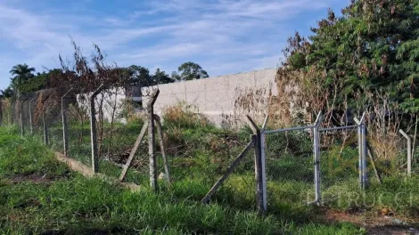 imagem 2 - TERRENO À VENDA, ÓTIMA OPORTUNIDADE PARA INVESTIDORES, NA REGIÃO MANSÕES SANTO ANTÔNIO - CAMPINAS/SP imagem 2 - TERRENO À VENDA, ÓTIMA OPORTUNIDADE PARA INVESTIDORES, NA REGIÃO MANSÕES SANTO ANTÔNIO - CAMPINAS/SP