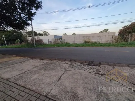 imagem 4 - TERRENO À VENDA, ÓTIMA OPORTUNIDADE PARA INVESTIDORES, NA REGIÃO MANSÕES SANTO ANTÔNIO - CAMPINAS/SP imagem 4 - TERRENO À VENDA, ÓTIMA OPORTUNIDADE PARA INVESTIDORES, NA REGIÃO MANSÕES SANTO ANTÔNIO - CAMPINAS/SP