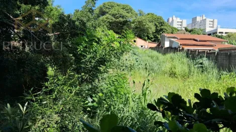 imagem 3 - TERRENO À VENDA EM REGIÃO VALORIZADA DE CAMPINAS/SP. imagem 3 - TERRENO À VENDA EM REGIÃO VALORIZADA DE CAMPINAS/SP.