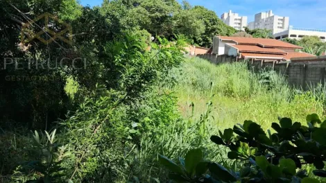imagem 4 - TERRENO À VENDA EM REGIÃO VALORIZADA DE CAMPINAS/SP. imagem 4 - TERRENO À VENDA EM REGIÃO VALORIZADA DE CAMPINAS/SP.