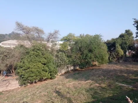 imagem 1 - TERRENO À VENDA EM VINHEDO - OPORTUNIDADE IMPERDÍVEL! imagem 1 - TERRENO À VENDA EM VINHEDO - OPORTUNIDADE IMPERDÍVEL!