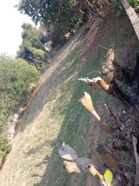 imagem 2 - TERRENO À VENDA EM VINHEDO - OPORTUNIDADE IMPERDÍVEL! imagem 2 - TERRENO À VENDA EM VINHEDO - OPORTUNIDADE IMPERDÍVEL!