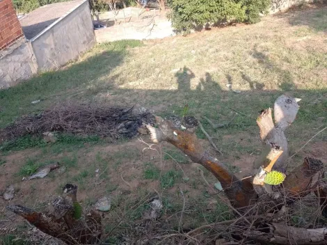 imagem 4 - TERRENO À VENDA EM VINHEDO - OPORTUNIDADE IMPERDÍVEL! imagem 4 - TERRENO À VENDA EM VINHEDO - OPORTUNIDADE IMPERDÍVEL!