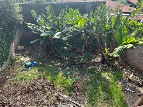 imagem 5 - TERRENO À VENDA NO BAIRRO NOVA CAMPINAS - CAMPINAS/SP. imagem 5 - TERRENO À VENDA NO BAIRRO NOVA CAMPINAS - CAMPINAS/SP.