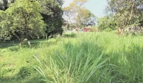 imagem 3 - TERRENO DE 2.250M² À VENDA EM BARÃO GERALDO  CAMPINAS/SP imagem 3 - TERRENO DE 2.250M² À VENDA EM BARÃO GERALDO  CAMPINAS/SP