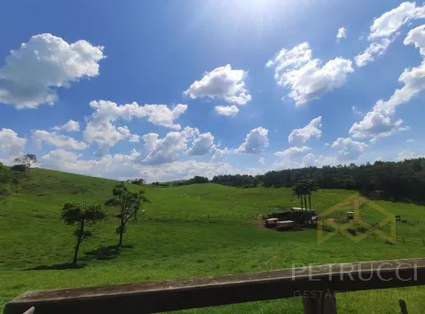 Jaguariuna Chacara Primavera Rural Venda R$4.000.000,00 3 Dormitorios  Area do terreno 242000.00m2 Area construida 242000.00m2