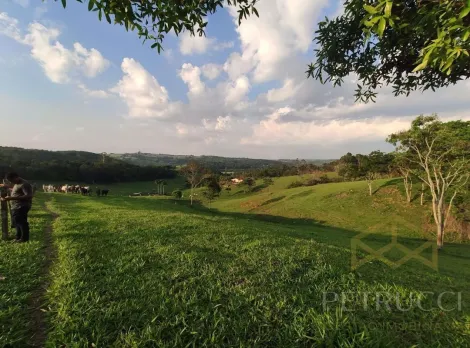 imagem 2 - SÍTIO COM  DE 10 ALQUEIRES,  À VENDA NO BAIRRO CHÁCARA PRIMAVERA - JAGUARIÚNA/SP imagem 2 - SÍTIO COM  DE 10 ALQUEIRES,  À VENDA NO BAIRRO CHÁCARA PRIMAVERA - JAGUARIÚNA/SP