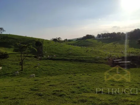 imagem 4 - SÍTIO COM  DE 10 ALQUEIRES,  À VENDA NO BAIRRO CHÁCARA PRIMAVERA - JAGUARIÚNA/SP imagem 4 - SÍTIO COM  DE 10 ALQUEIRES,  À VENDA NO BAIRRO CHÁCARA PRIMAVERA - JAGUARIÚNA/SP