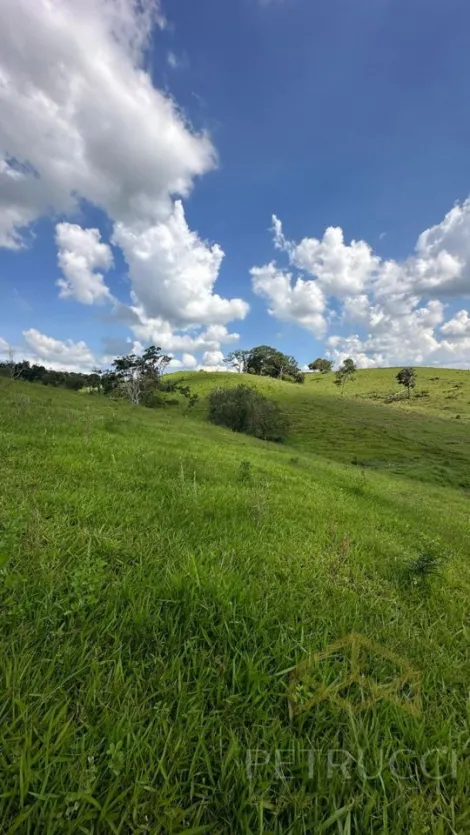 imagem 5 - SÍTIO COM  DE 10 ALQUEIRES,  À VENDA NO BAIRRO CHÁCARA PRIMAVERA - JAGUARIÚNA/SP imagem 5 - SÍTIO COM  DE 10 ALQUEIRES,  À VENDA NO BAIRRO CHÁCARA PRIMAVERA - JAGUARIÚNA/SP