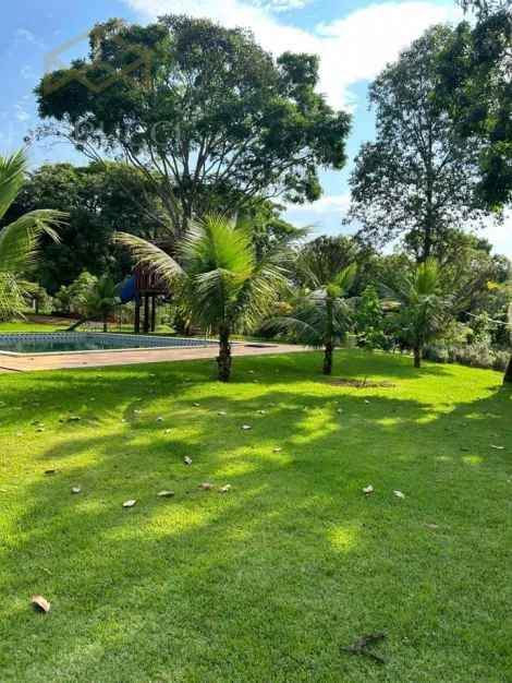 imagem 2 - LINDA CHÁCARA  PARA VENDA E LOCAÇÃO EM JAGUARIÚNA imagem 2 - LINDA CHÁCARA  PARA VENDA E LOCAÇÃO EM JAGUARIÚNA